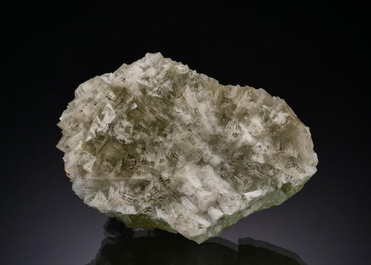 CC51720 specimen image