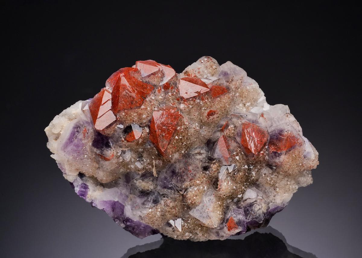 CC51722 specimen image