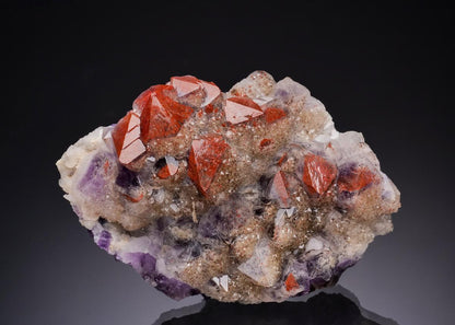 CC51722 specimen image