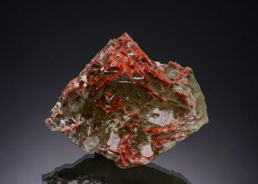 CC51782 specimen image