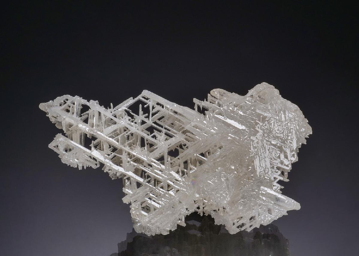 CC51804 specimen image