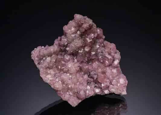 CC51806 specimen image