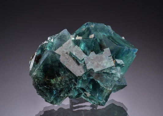 CC51822 specimen image