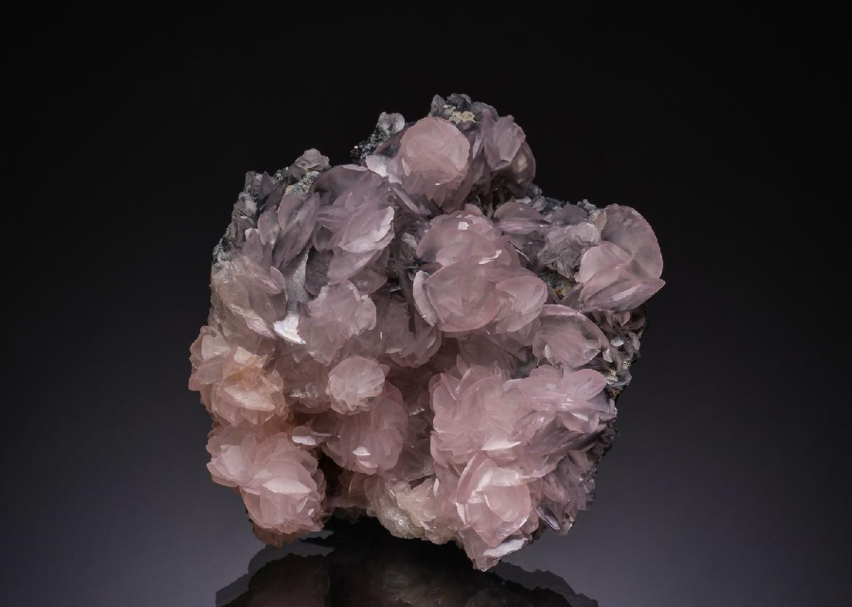 CC51846 specimen image