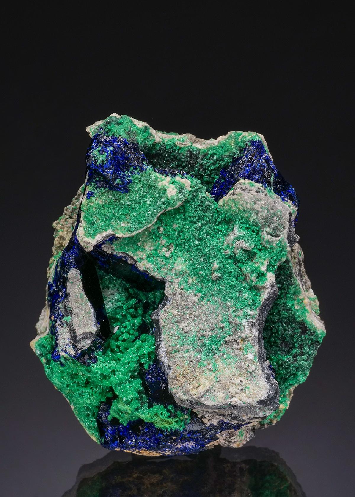 CC51852 specimen image