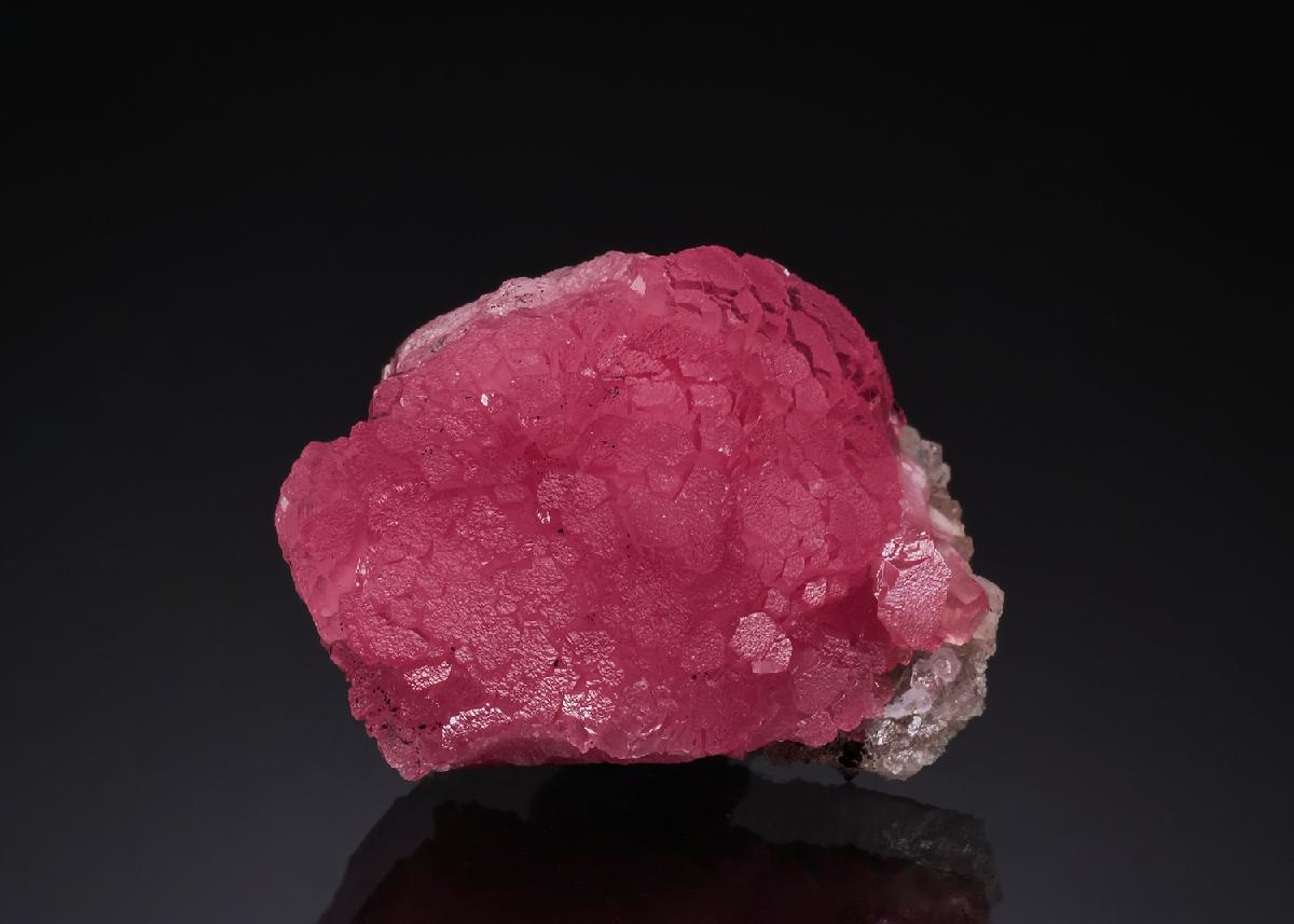 CC51862 specimen image