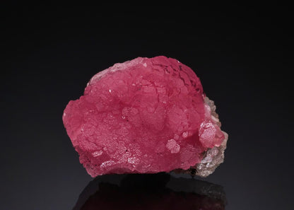 CC51862 specimen image