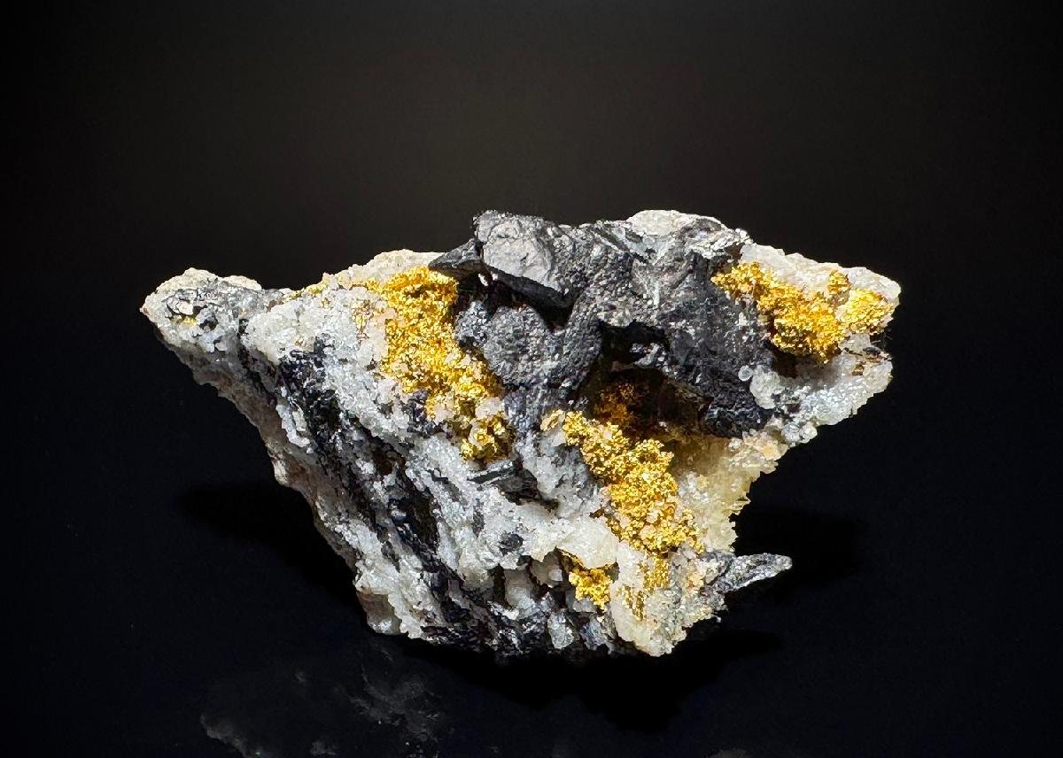 CC51884 specimen image