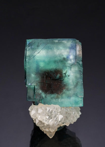 CC51922 specimen image