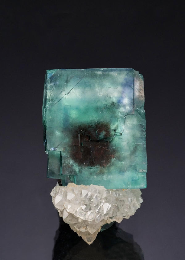 CC51922 specimen image
