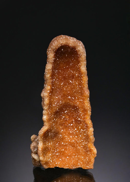 CC51936 specimen image