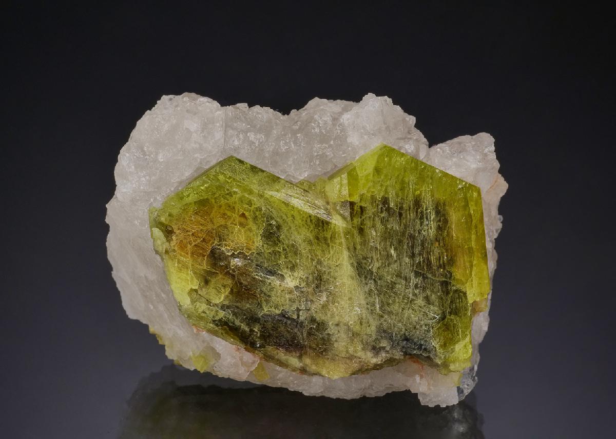 CC51992 specimen image