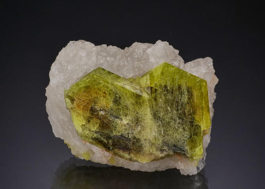 CC51992 specimen image