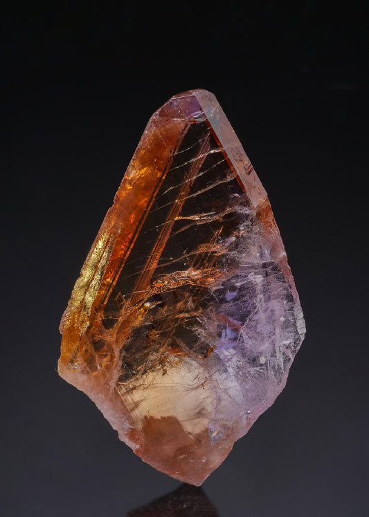 CC51996 specimen image
