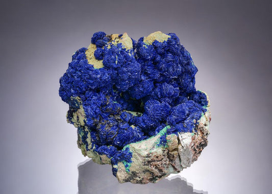 CC52000 specimen image