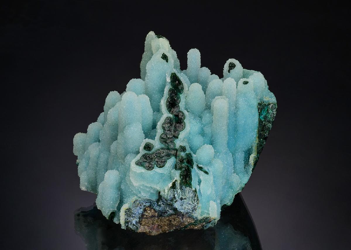 CC52002 specimen image