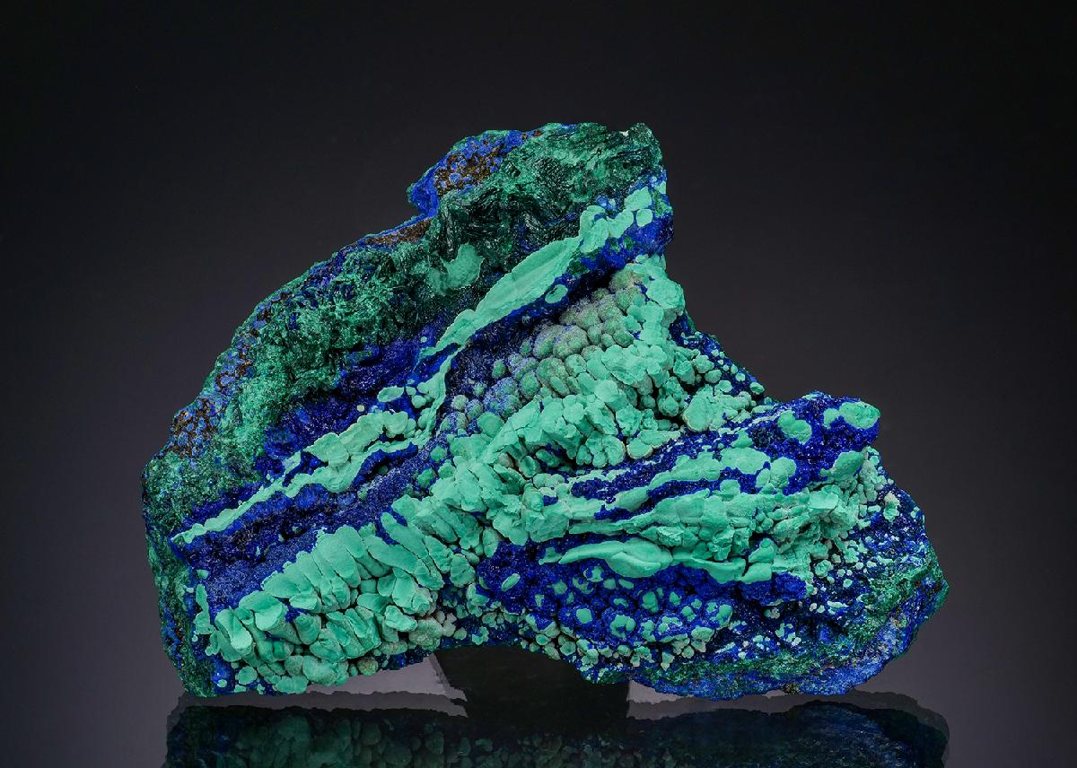 CC52004 specimen image