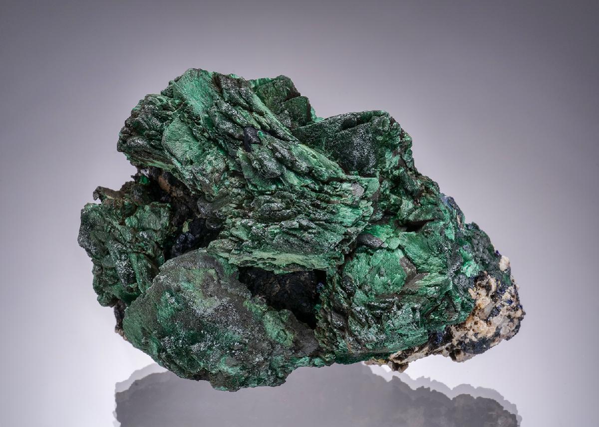 CC52010 specimen image