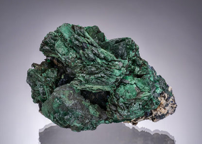 CC52010 specimen image