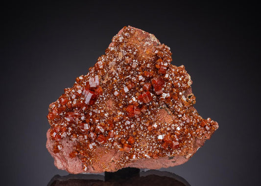CC52012 specimen image