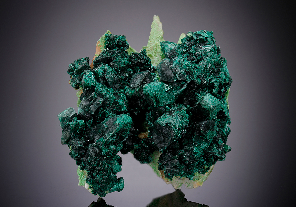 CC5202 specimen image