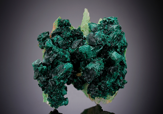 CC5202 specimen image