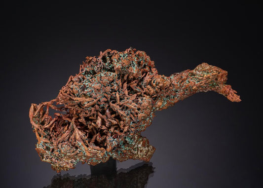 CC52022 specimen image