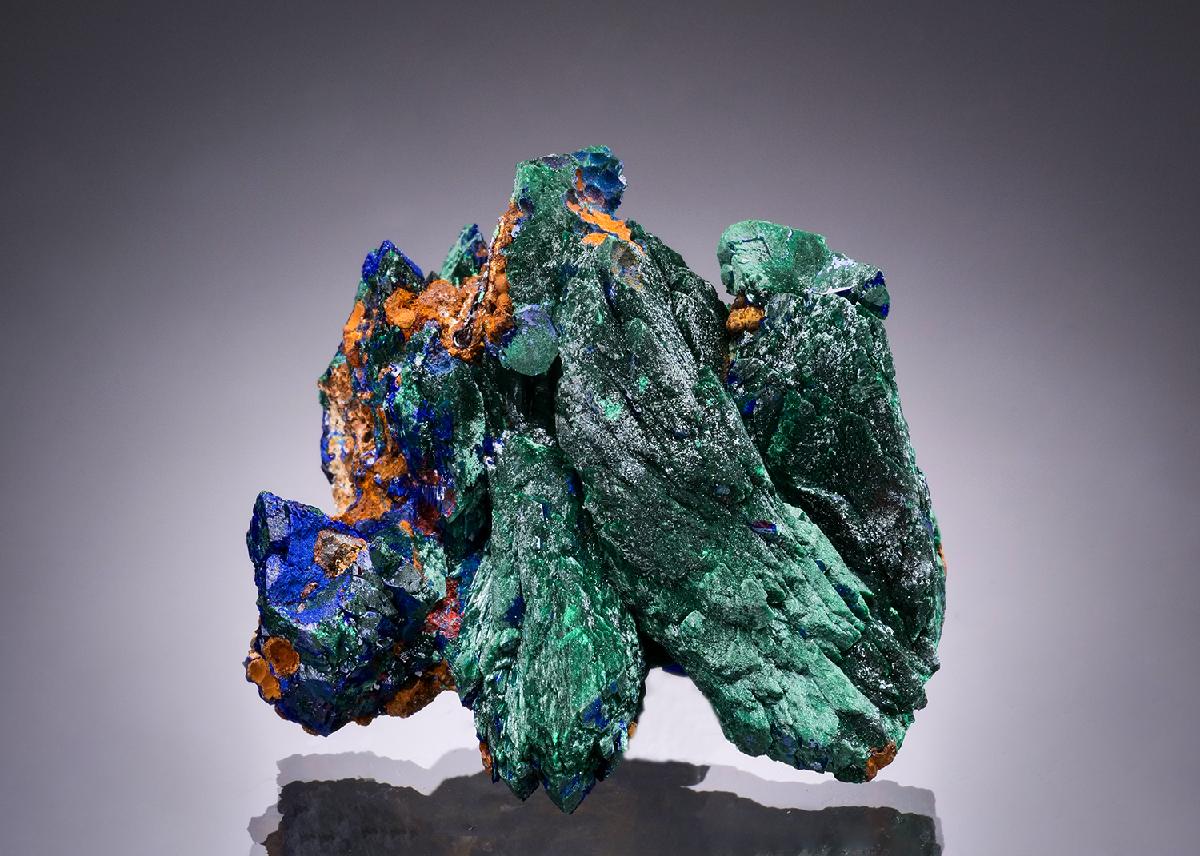 CC52026 specimen image