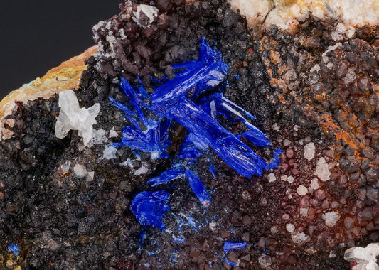 CC52054 specimen image