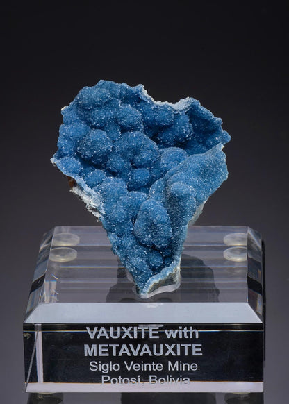 CC52104 specimen image