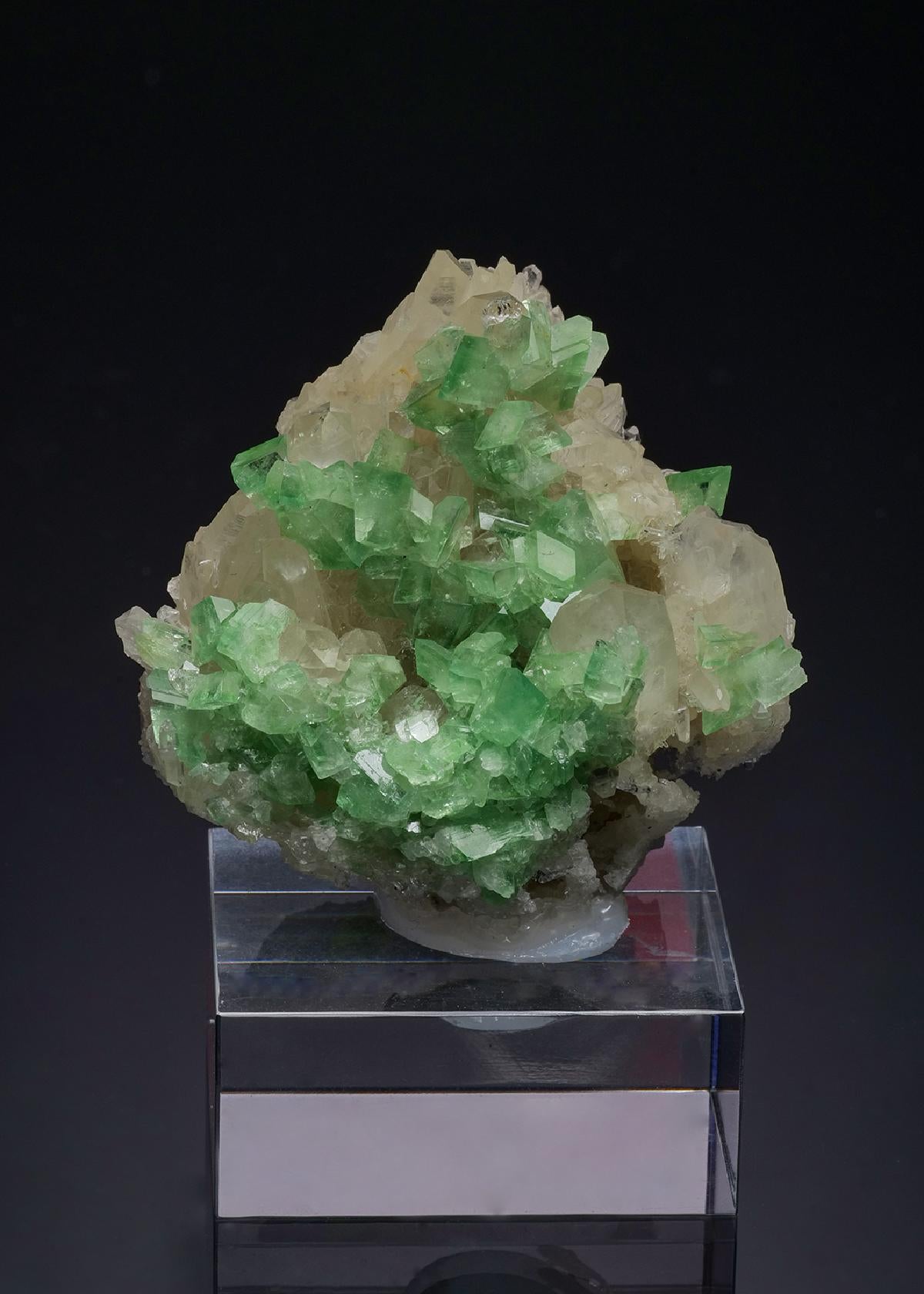CC52106 specimen image