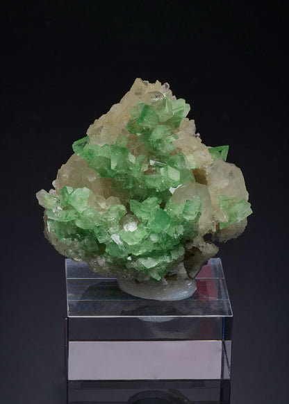 CC52106 specimen image