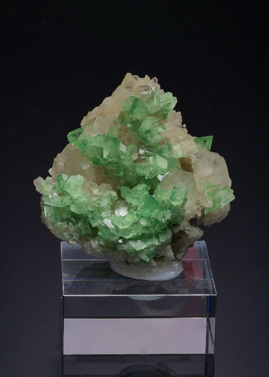 CC52106 specimen image