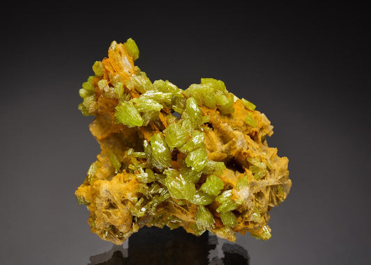 CC52114 specimen image