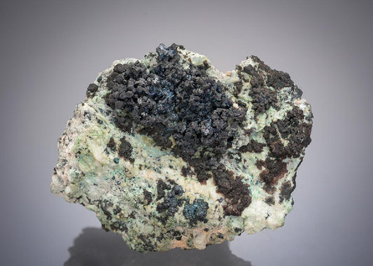 CC52116 specimen image