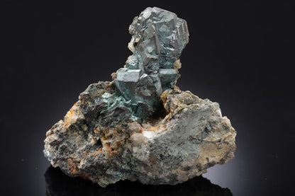 CC52122 specimen image