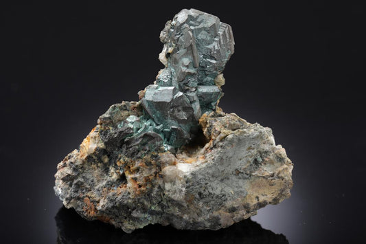 CC52122 specimen image