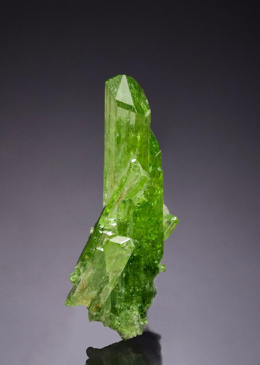 CC52152 specimen image