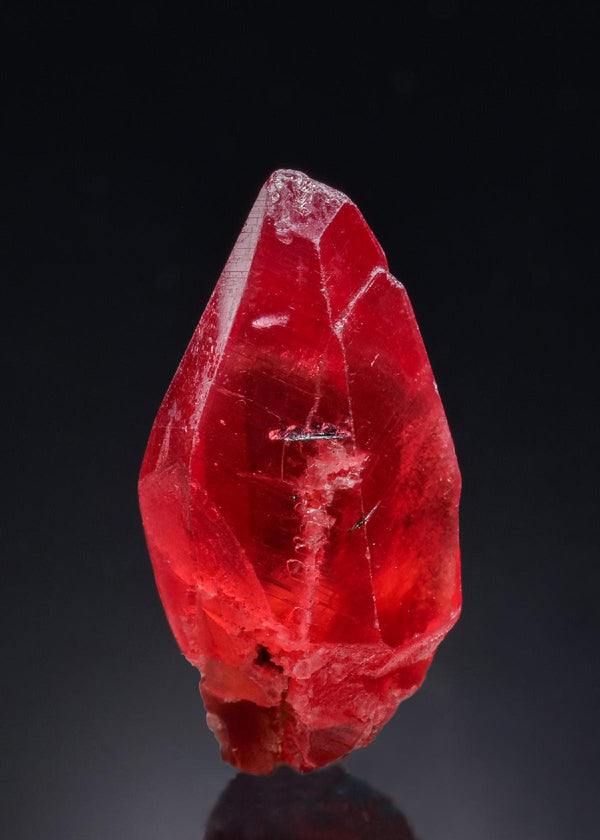 CC52242 specimen image