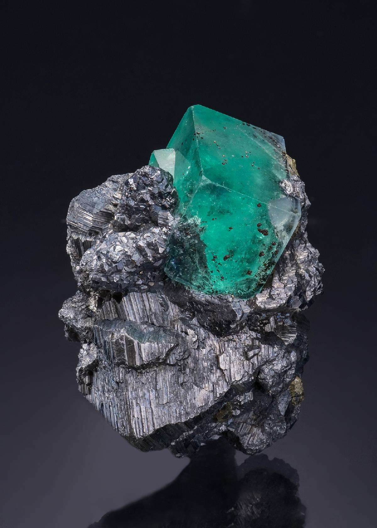CC52268 specimen image
