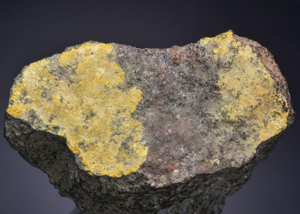 CC52286 specimen image