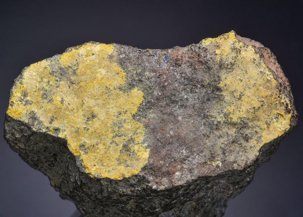 CC52286 specimen image