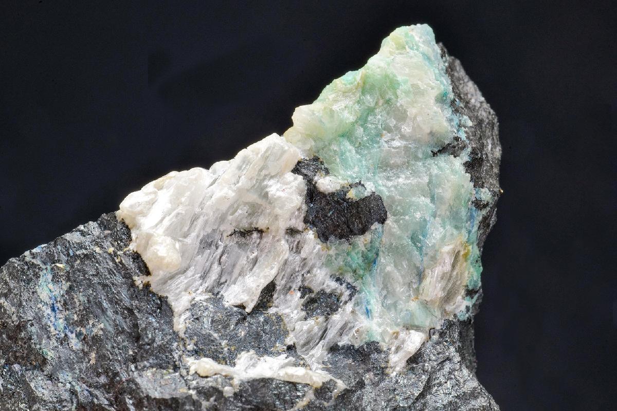 CC52290 specimen image