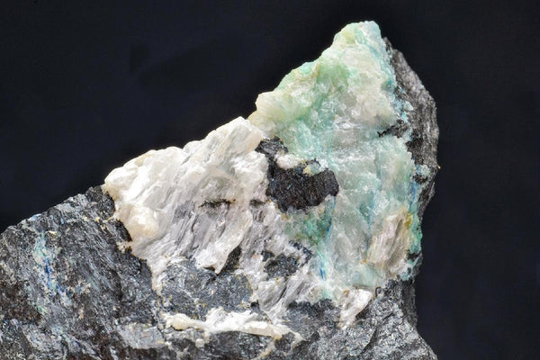 CC52290 specimen image