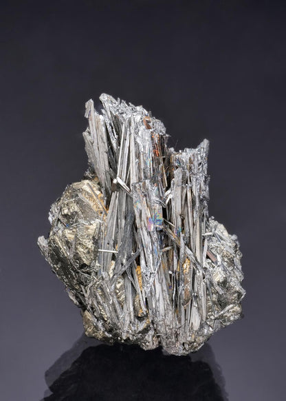 CC52292 specimen image