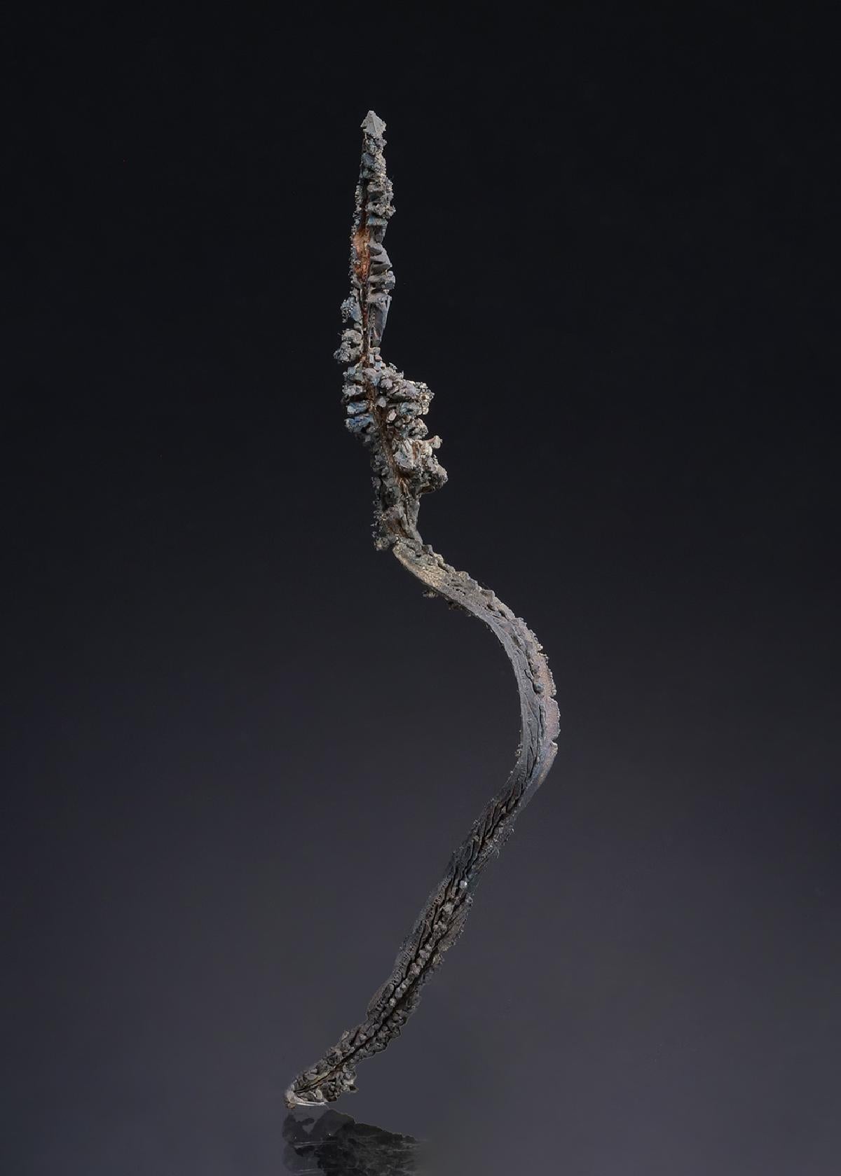 CC52314 specimen image