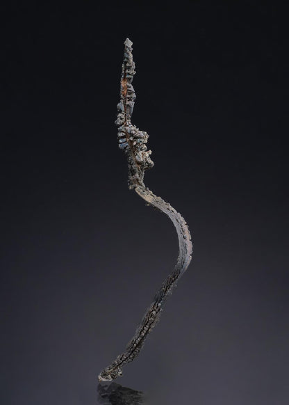 CC52314 specimen image