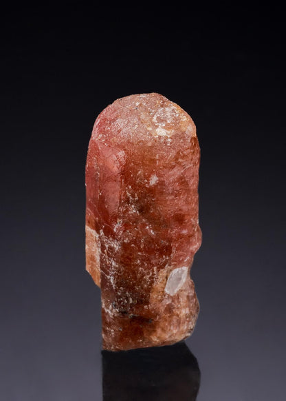 CC52336 specimen image
