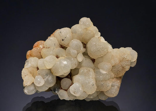CC52346 specimen image