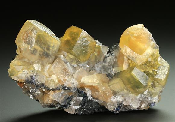 CC5236 specimen image